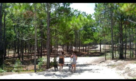 Camping Novas Palmeiras Florianópolis 외부 사진