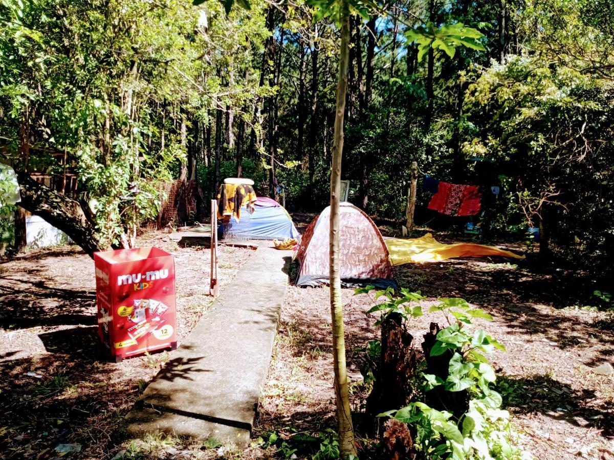 Camping Novas Palmeiras Florianópolis 외부 사진
